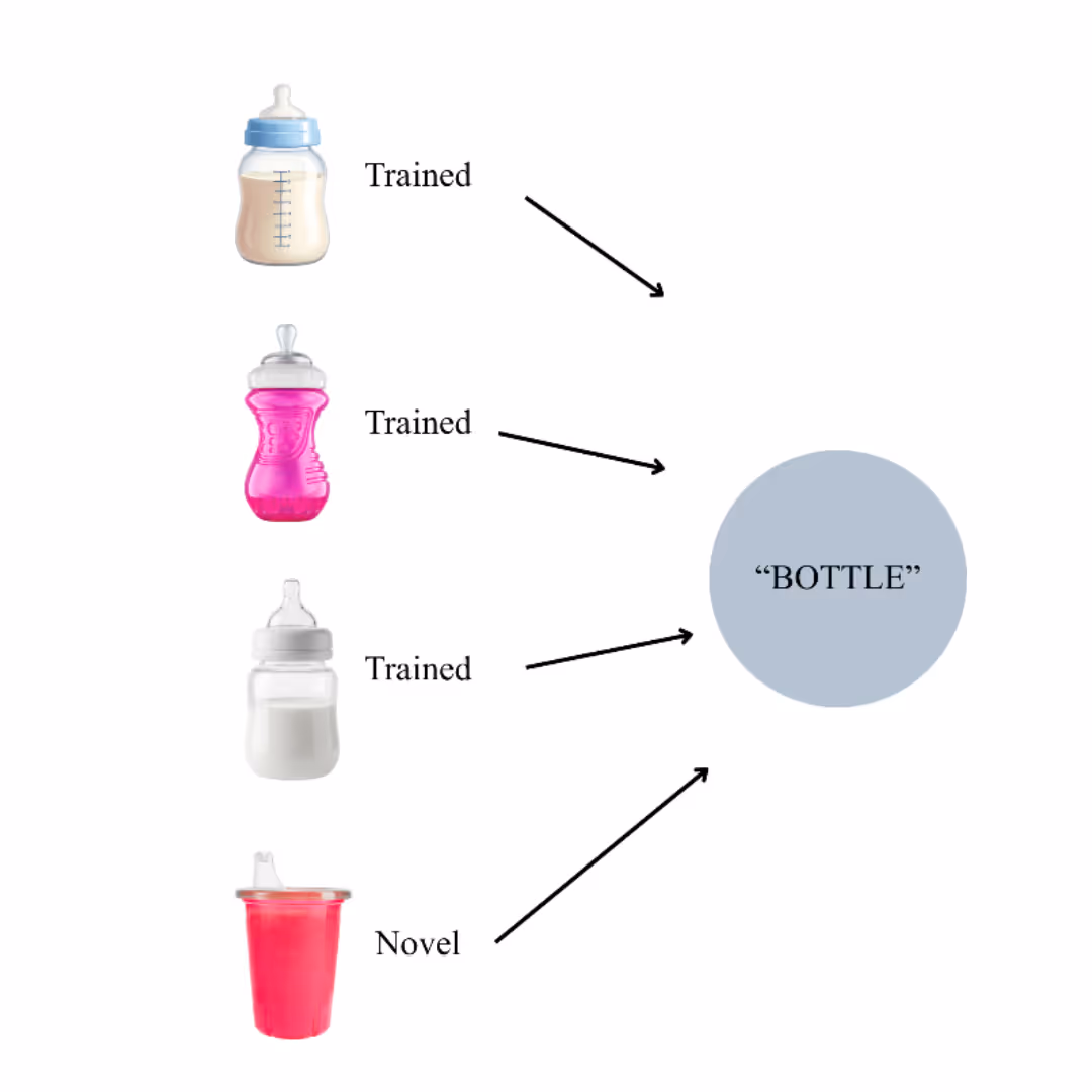 Three trained baby bottles and one novel cup are all identified as a bottle.